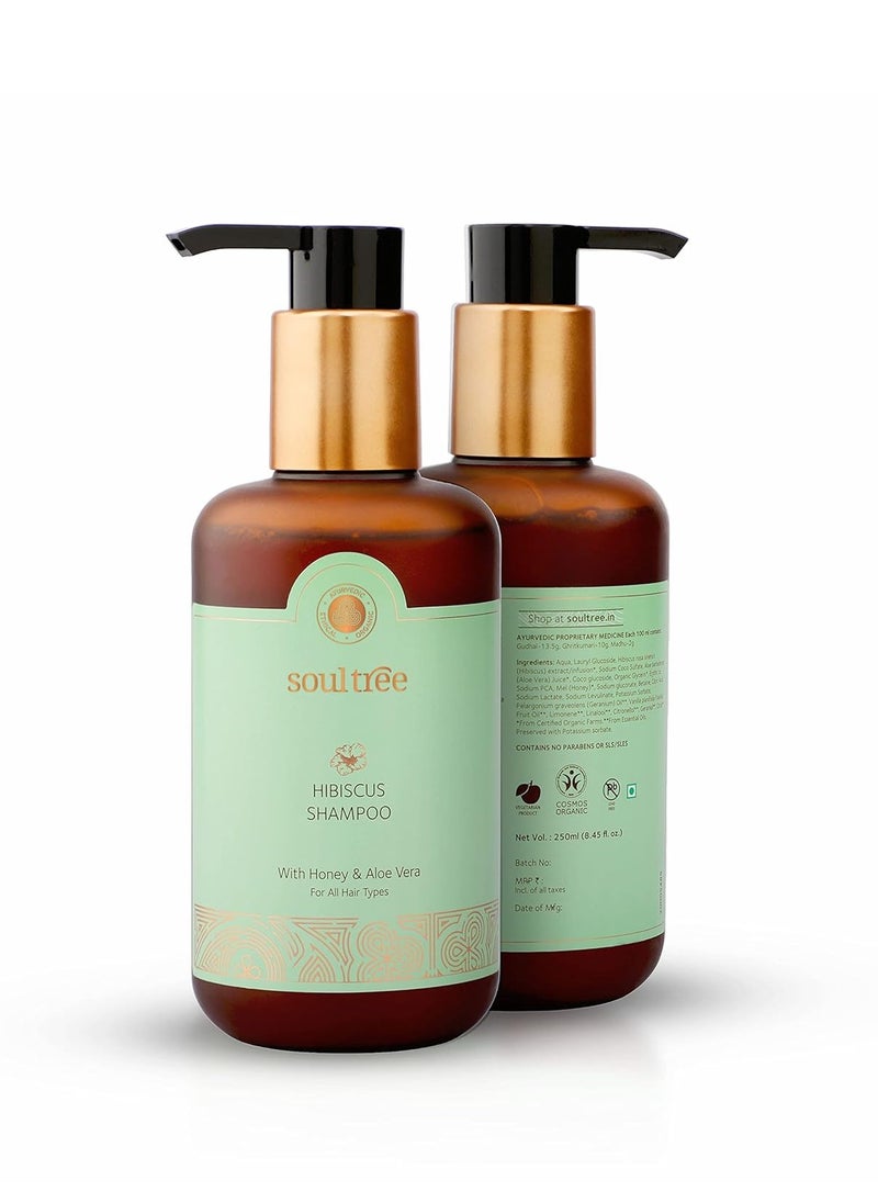 SOULTREE - SoulTree Hibiscus Shampoo with Honey Aloe Vera Prevents Dryness Hair Breakage 250ml - Image 1