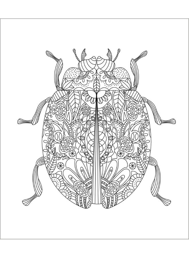 Large Print Colour & Frame - Animals: 31 Relaxing Colouring Pages to Enjoy  - Image 5