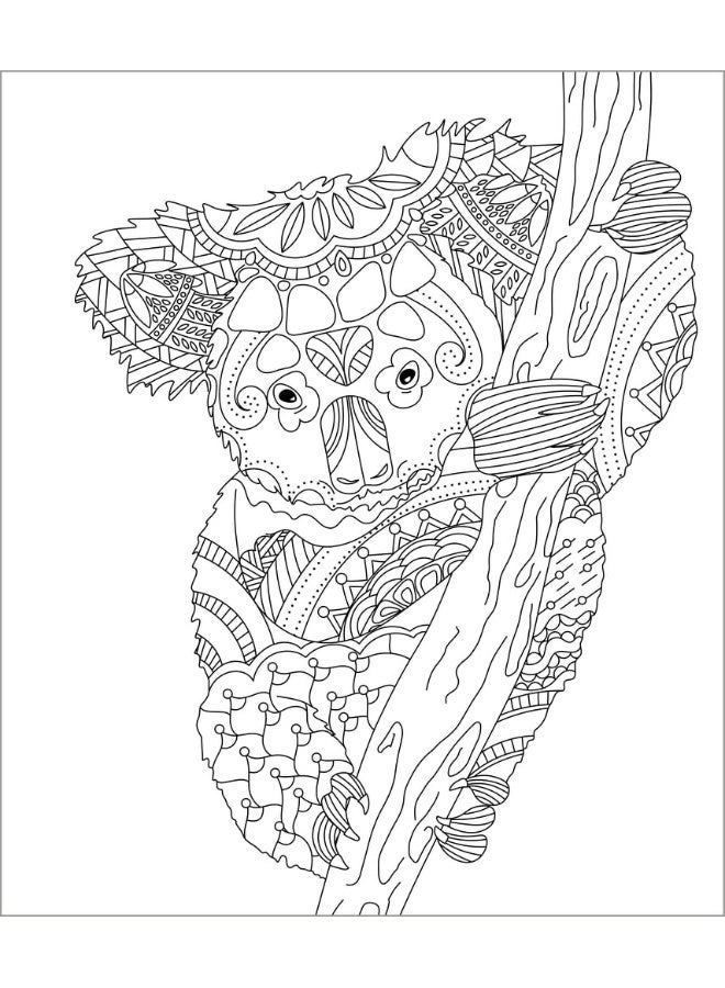 Large Print Colour & Frame - Animals: 31 Relaxing Colouring Pages to Enjoy  - Image 2