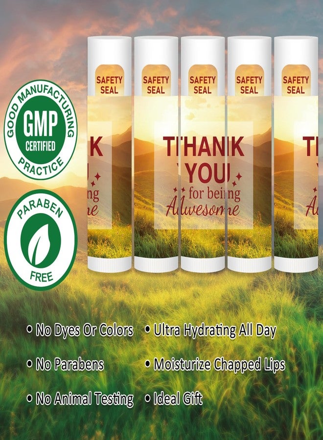 DMSKY Appreciation Gifts 60 Pcs Lip Balm Bulk, Staff Appreciation Gifts Bulk Thank You Gifts Bulk for Coworkers Teacher Worker Employee Leaving Farewell Gifts - Image 4
