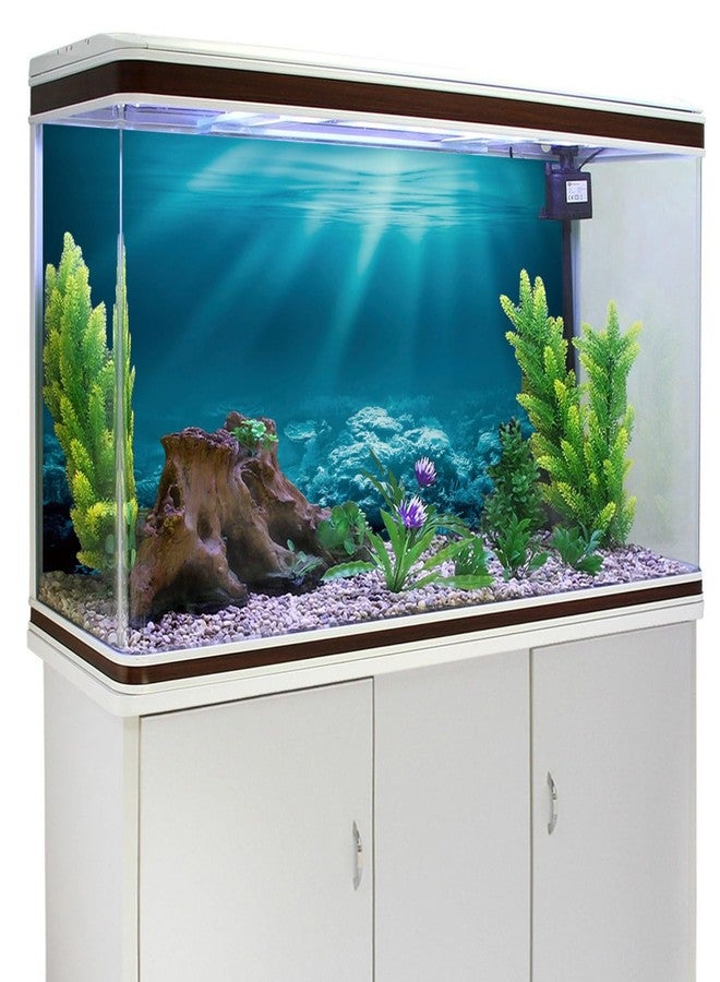 AWERT 30x18 inches Undersea Theme Aquarium Background Sunshine Underwater World Fish Tank Background Durable Polyester Background - Image 3