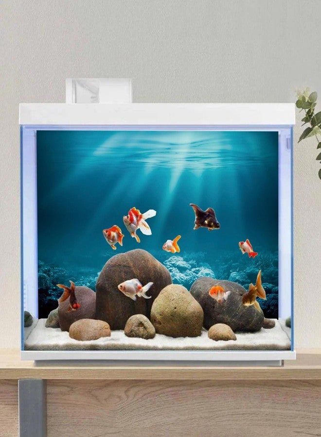 AWERT 30x18 inches Undersea Theme Aquarium Background Sunshine Underwater World Fish Tank Background Durable Polyester Background - Image 4