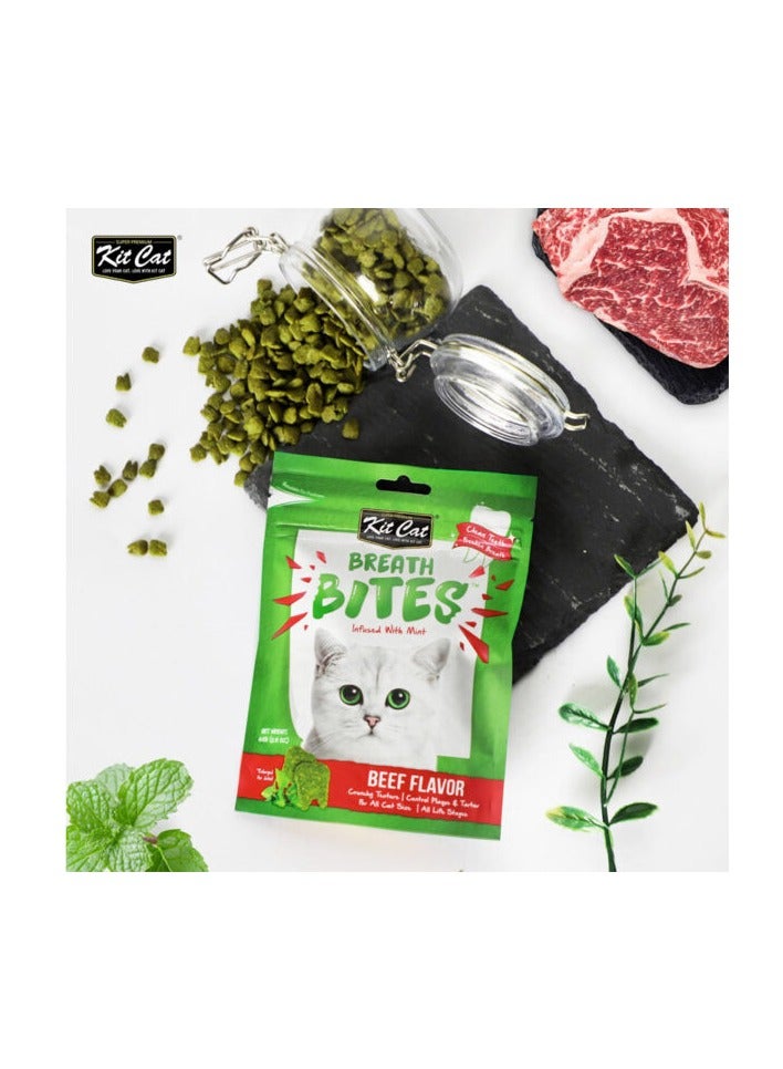كيت كات عبوة من قطعتين من Breath Bites بنكهة لحم البقر 2x60 جم - Image 2