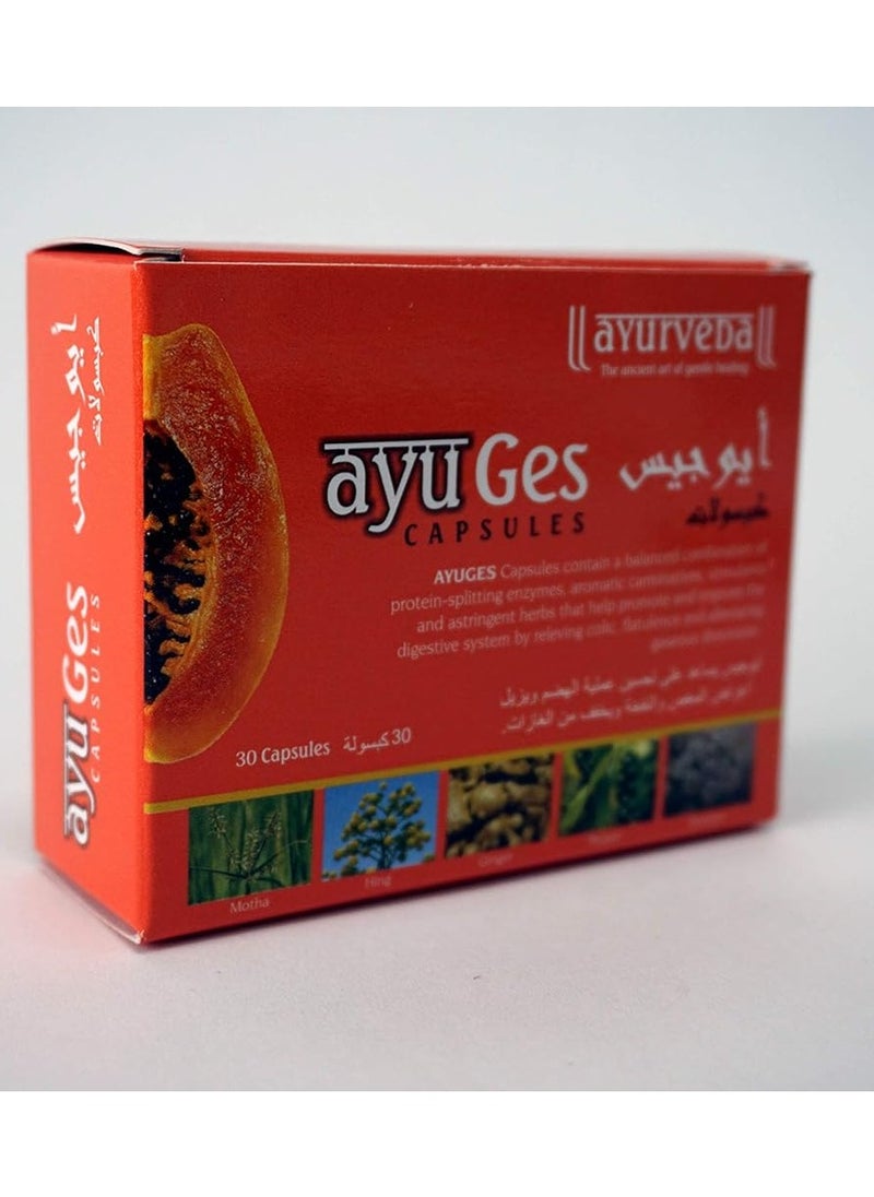 Ayurveda Ayurveda  IOGUS capsules 30 capsules  - Image 1