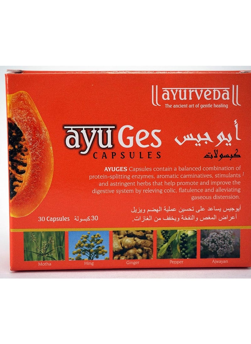 Ayurveda Ayurveda  IOGUS capsules 30 capsules  - Image 2