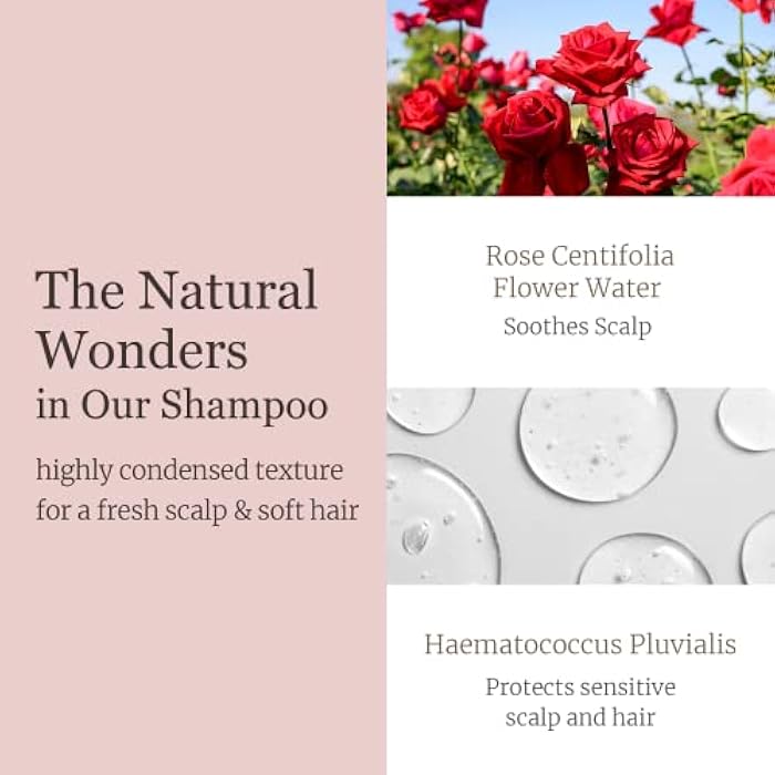 Dr.Bio Wrap-Up Shampoo, Hydrating and Soothing Hair Shampoo with Probiotcs and Cica, Hair and Scalp Care for Sensitive Scalp, Smooth and Shiny Hair, Vegan, Silicone & Paraben Free, Korean Hair Care - Image 5