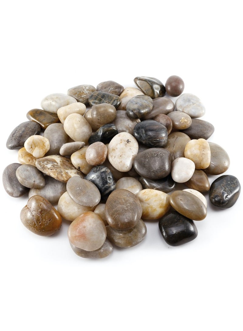 Dymax Five Color Yuhua Stones (2–3 cm) – 4kg | Decorative Stones for Freshwater Aquariums