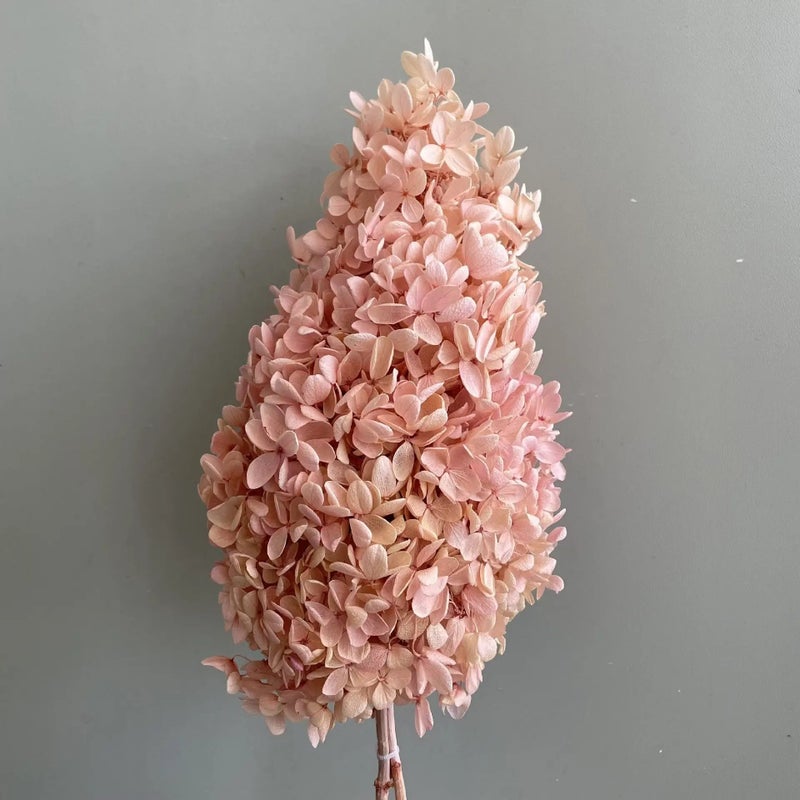 Y&D Hot Selling Preserved Pagoda Hydrangea Bouquet - High Quality Dried Flowers for Christmas, Wedding, Mother's Day, Graduation & Home Decor - Dried Plants - Image 3