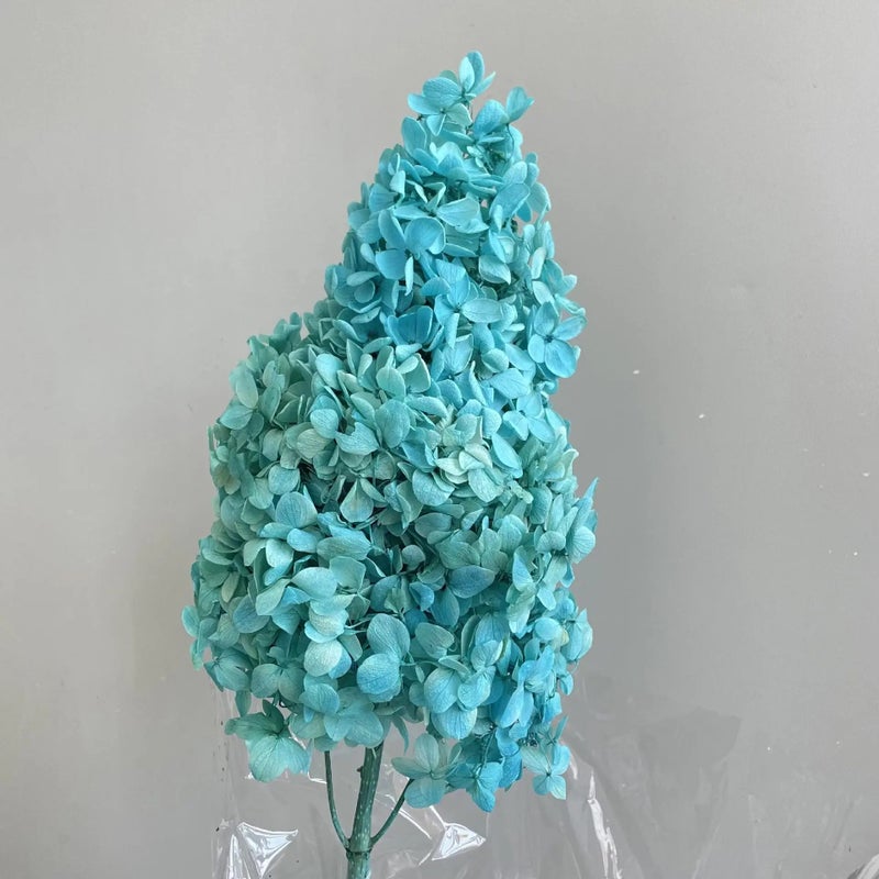 Y&D Hot Selling Preserved Pagoda Hydrangea Bouquet - High Quality Dried Flowers for Christmas, Wedding, Mother's Day, Graduation & Home Decor - Dried Plants - Image 5