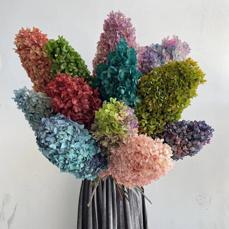 Y&D Hot Selling Preserved Pagoda Hydrangea Bouquet - High Quality Dried Flowers for Christmas, Wedding, Mother's Day, Graduation & Home Decor - Dried Plants - Image 2