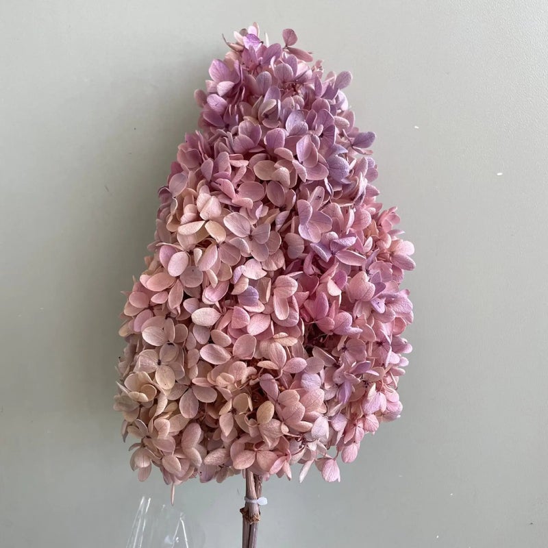 Y&D Hot Selling Preserved Pagoda Hydrangea Bouquet - High Quality Dried Flowers for Christmas, Wedding, Mother's Day, Graduation & Home Decor - Dried Plants - Image 1