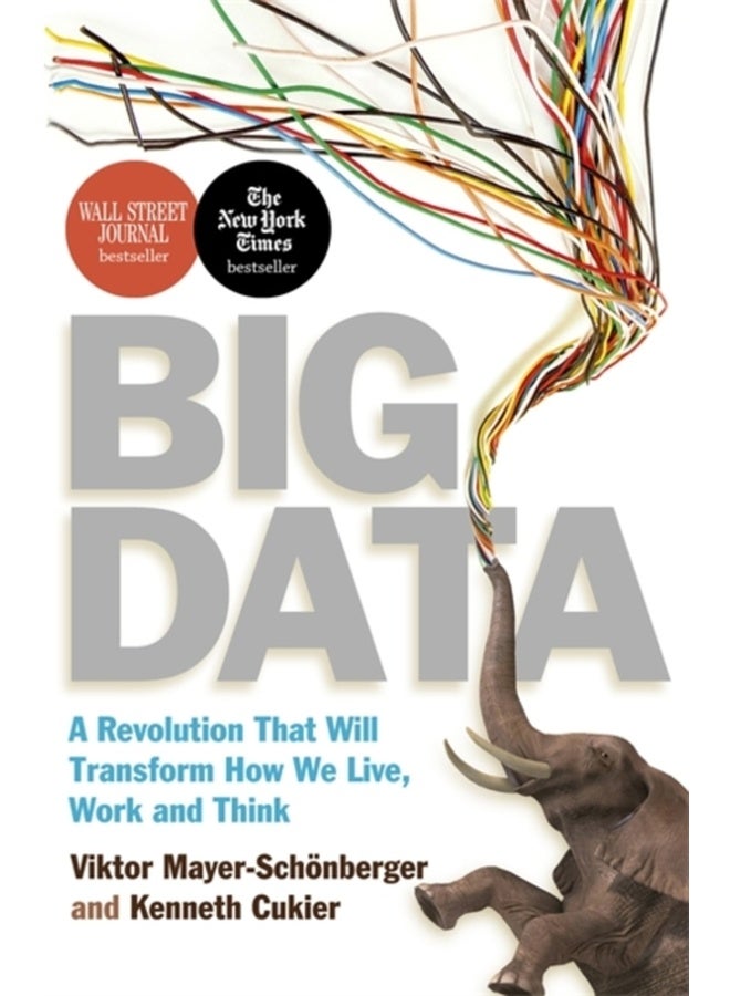 BIG DATA (REISSUE) 