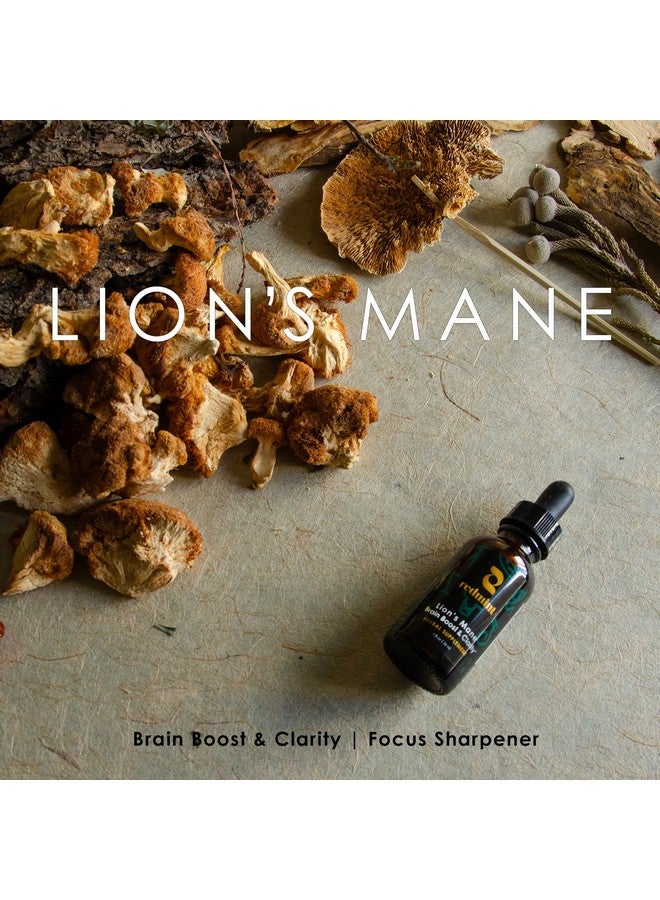 Redmint Lion's Mane Mushroom Herbal Tincture - Brain Boost & Clarity | Organic Immune Support Mushroom Supplement Rooted in Ancient TCM Wisdom for Focus, Memory Health & Wellness | 1 fl oz - Image 2