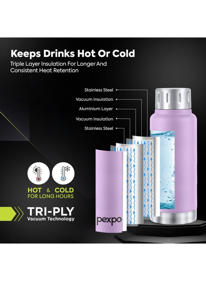 Pexpo Cameo Vacuum Insulated 160ml Stainless Steel Water Bottle - Orchid Purple | Hot & Cold Upto 4-5 Hours | Leak of | Office, School, Gym & Travelling|Men, Women & Kids| RCB Edition - Image 3