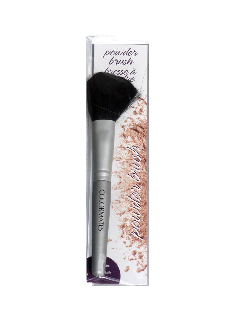 ColorMates - Powder Brush Blends Easily - Image 1