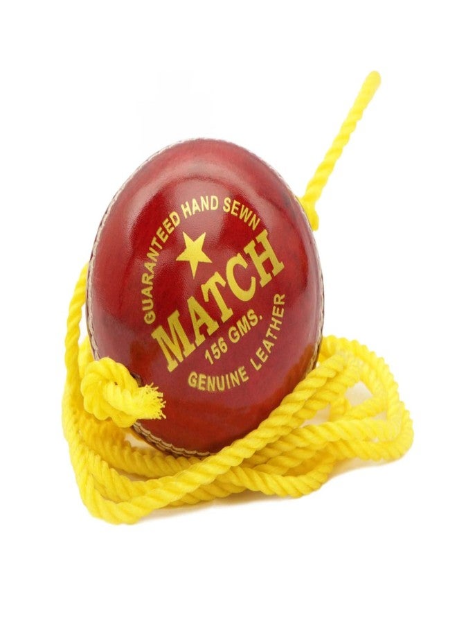 PSE Priya Sports Hanging Leather Cricket Ball (Red, Pack of 1) - Image 3