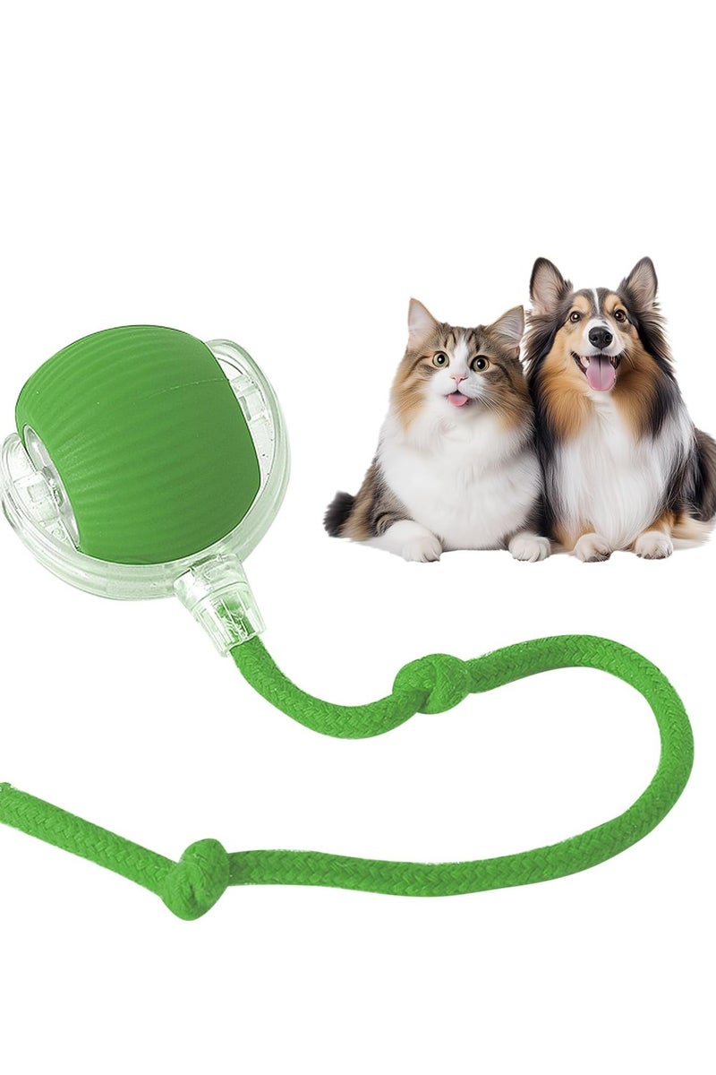 دوارة ذكية ذكية للقطط المنزلية مصممة لتحفيز النشاط وتحسين تجربة اللعب الممتعة - Image 1