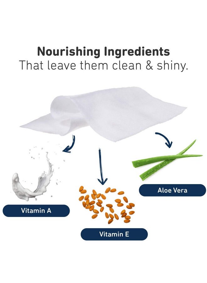 Ivs - International Veterinary Sciences IVS Quick Bath Dog Towelettes, Removes Odor, Extra Thick and Heavy Duty for Large Dogs, Made in the USA, 10 Count Pack - Image 1