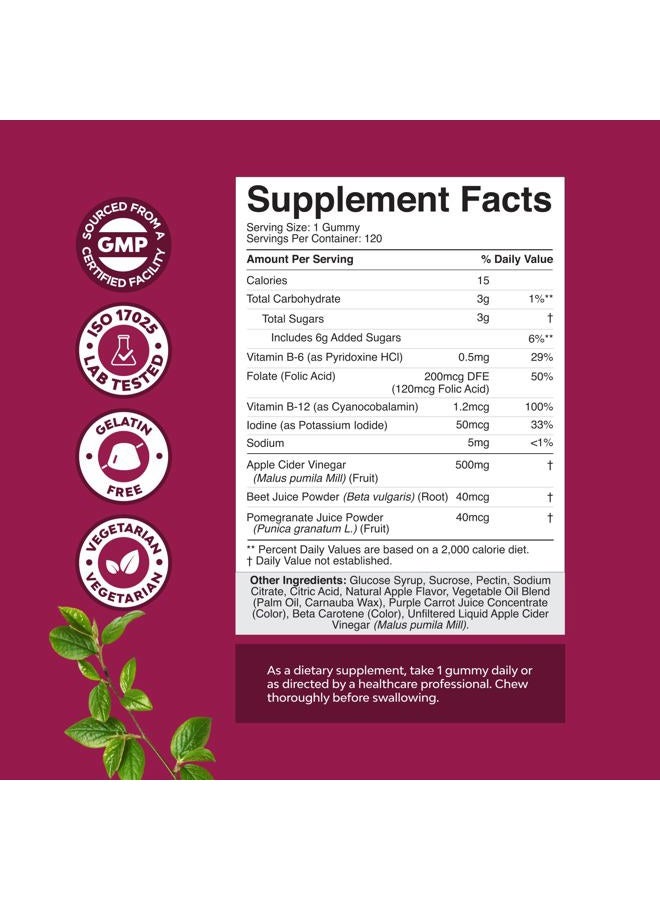 Natures Craft ACV Apple Cider Vinegar Gummies - Natural Energy Supplement ACV with Mother for Body Cleanse Immune Support and Gut Health with Vitamin B12 and Beet Root - 120 Count - Image 3