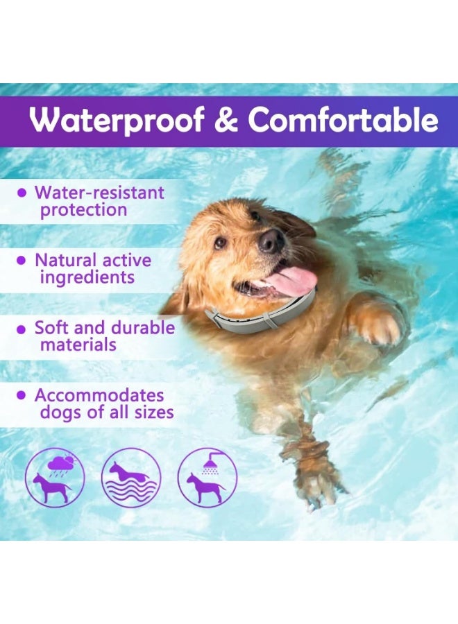 طوق طارد للبراغيث والقراد للكلاب مقاس 25 إنش قابل للتعديل | حماية حتى 8 أشهر | طوق بتركيبة تعتمد على مكونات طبيعية للكلاب وبعض الحيوانات الأليفة الصغيرة - Image 5