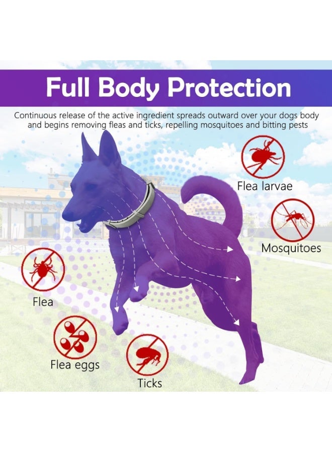 طوق طارد للبراغيث والقراد للكلاب مقاس 25 إنش قابل للتعديل | حماية حتى 8 أشهر | طوق بتركيبة تعتمد على مكونات طبيعية للكلاب وبعض الحيوانات الأليفة الصغيرة - Image 3