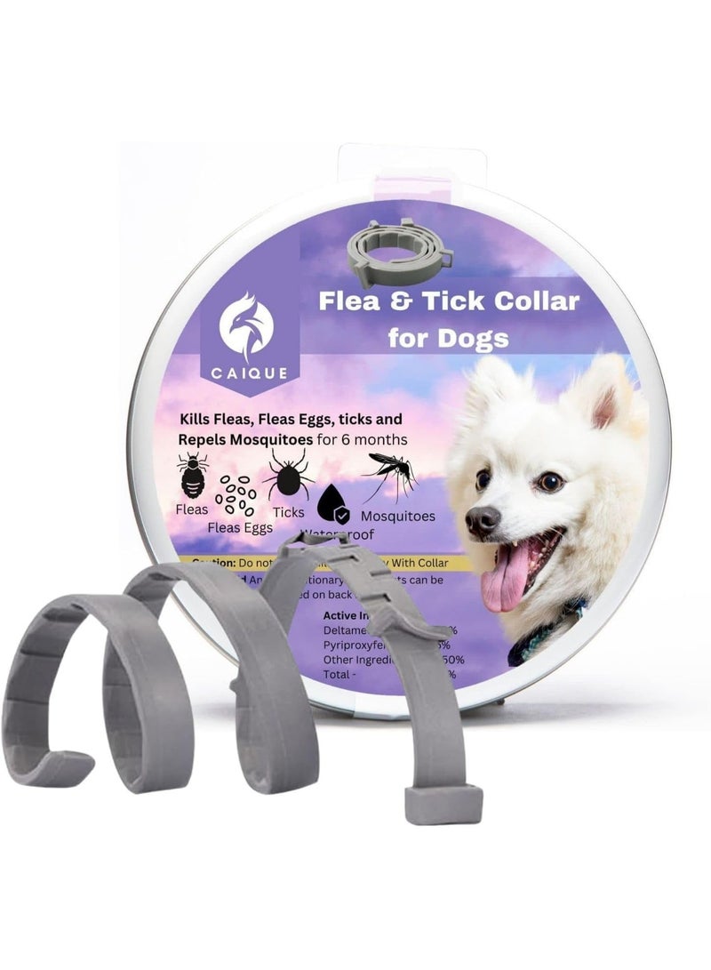 طوق طارد للبراغيث والقراد للكلاب مقاس 25 إنش قابل للتعديل | حماية حتى 8 أشهر | طوق بتركيبة تعتمد على مكونات طبيعية للكلاب وبعض الحيوانات الأليفة الصغيرة - Image 1