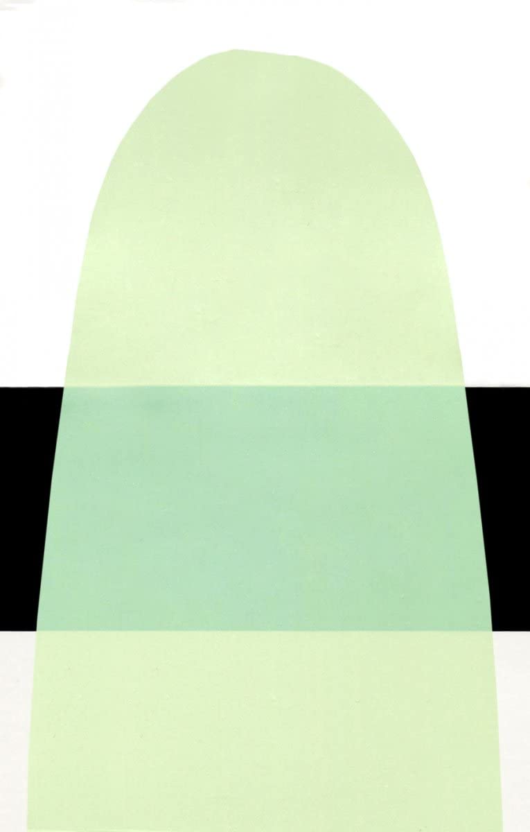 Golden Fluid Acrylic Paint 1 Ounce-Interference Green Fine - Image 3