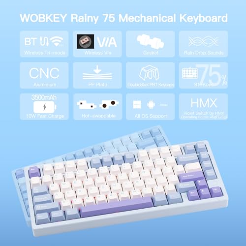 KEEBMONKEY WOBKEY Rainy 75 CNC Aluminum HMX/JWK/Cocoa Switches Triple-Mode Connectivity Mechanical Keyboard with Superior Acoustics, RGB/PP/Gradient Glass/3500mAh/Violet Switch (Standard - Blue) - Image 2