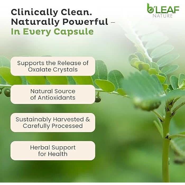 b'leaf NATURE B’Leaf Nature Chanca Piedra Stone Breaker, 100 Capsules, 1000mg – Traditional Herbal Kidney Support – Non-GMO, Vegan, Gluten-Free Urinary Tract & Liver Wellness - Image 5