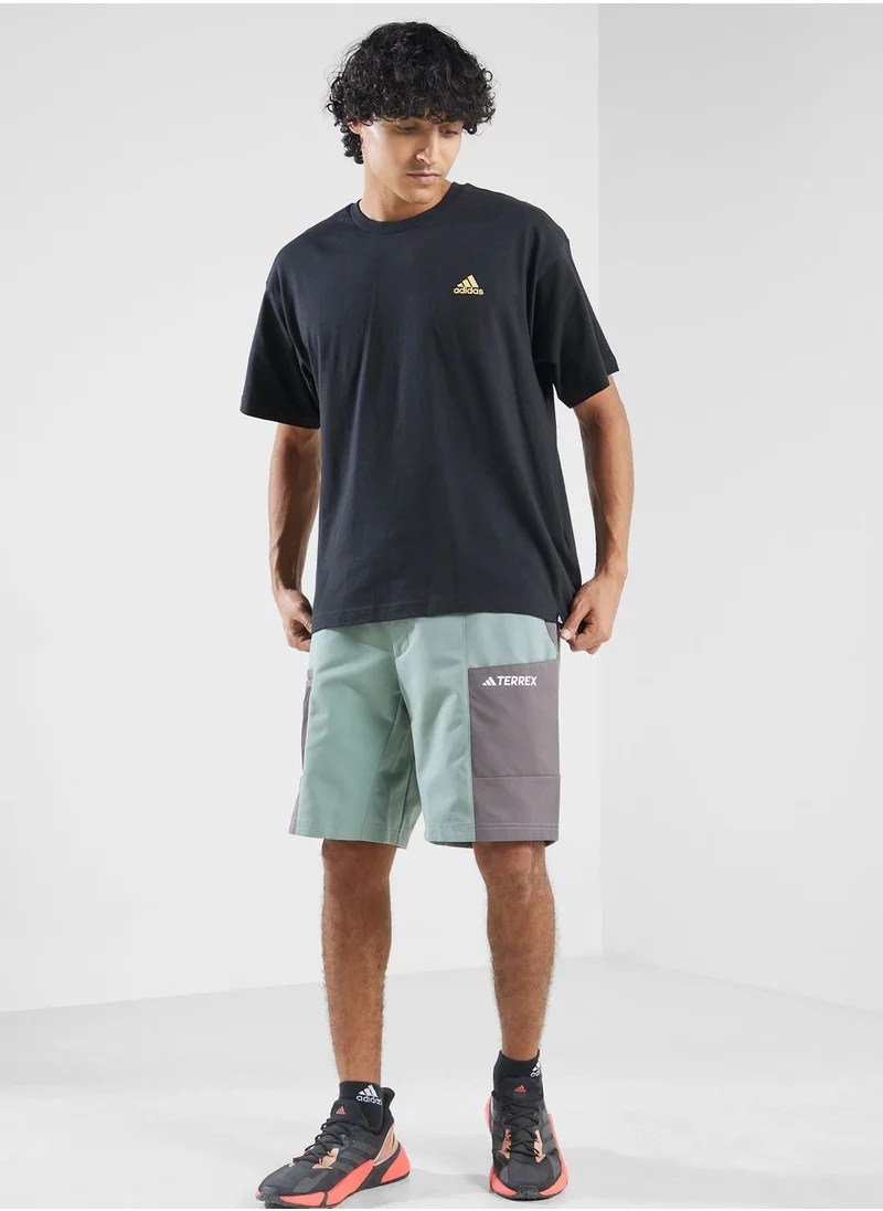 Adidas Terrex Cargo Shorts