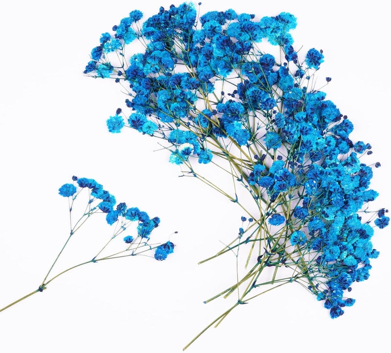 Xinxinran 50Pcs Blue Babys Breath Dried Pressed Flowers for Crafts, Dry Flowers Kit for Wedding Invitation Accessories,Bookmark,Jewelry Molds,Candle Making Supplies,Soap,Frame,Cakes - Image 1