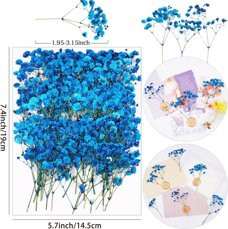Xinxinran 50Pcs Blue Babys Breath Dried Pressed Flowers for Crafts, Dry Flowers Kit for Wedding Invitation Accessories,Bookmark,Jewelry Molds,Candle Making Supplies,Soap,Frame,Cakes - Image 2