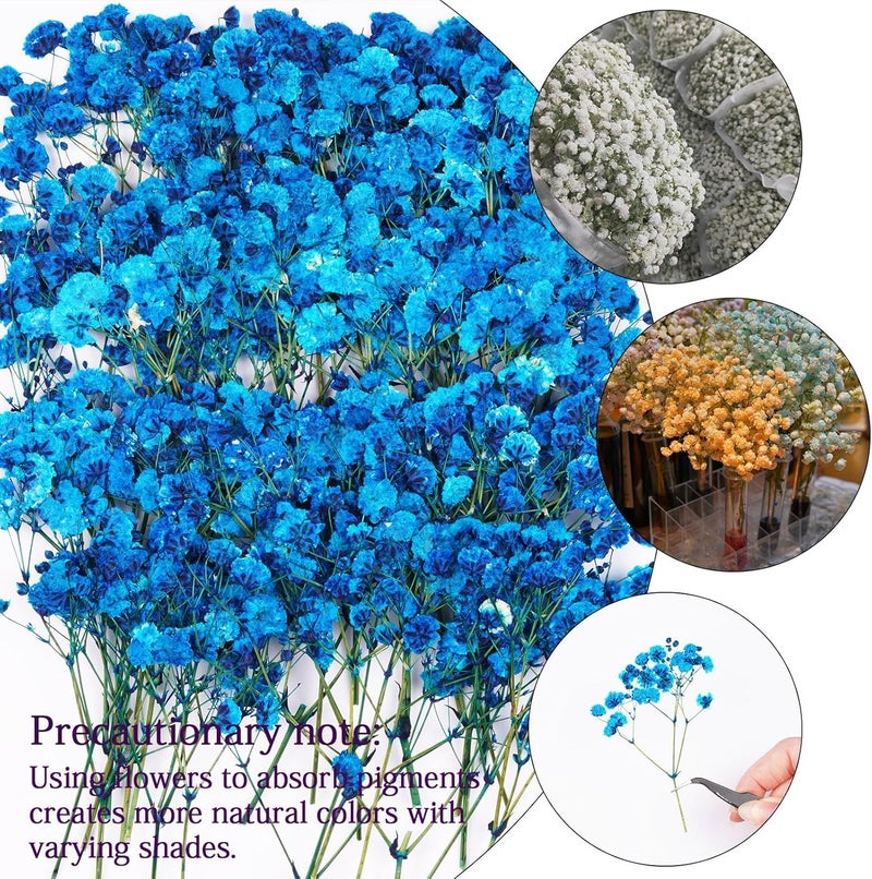 Xinxinran 50Pcs Blue Babys Breath Dried Pressed Flowers for Crafts, Dry Flowers Kit for Wedding Invitation Accessories,Bookmark,Jewelry Molds,Candle Making Supplies,Soap,Frame,Cakes - Image 4