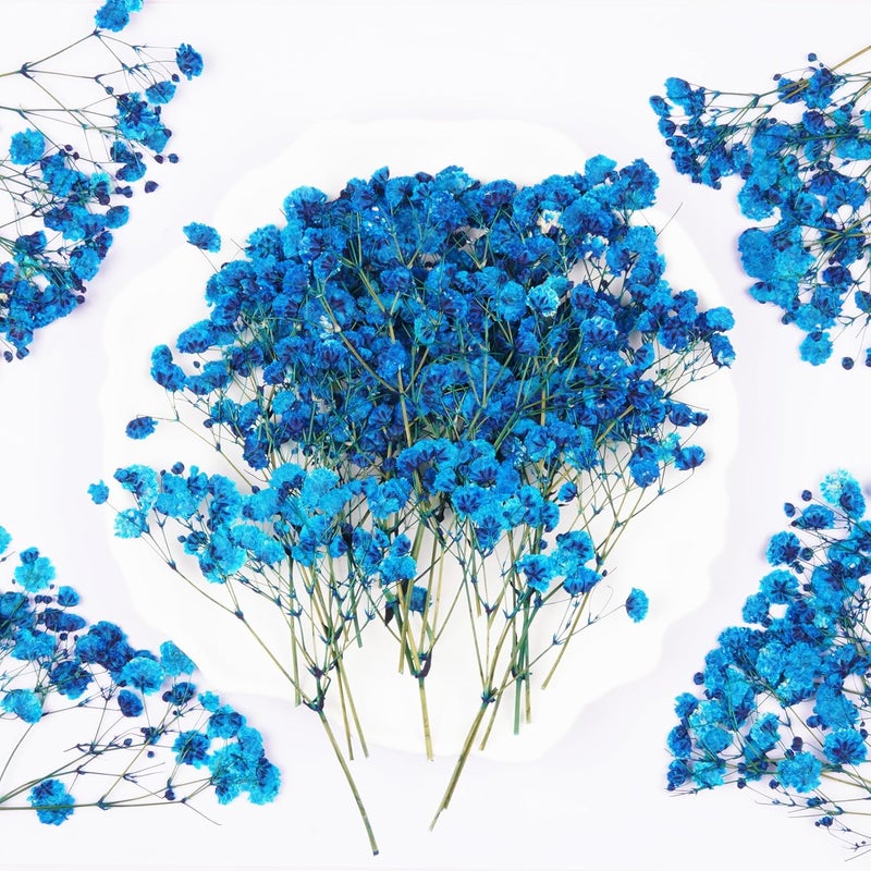 Xinxinran 50Pcs Blue Babys Breath Dried Pressed Flowers for Crafts, Dry Flowers Kit for Wedding Invitation Accessories,Bookmark,Jewelry Molds,Candle Making Supplies,Soap,Frame,Cakes - Image 3