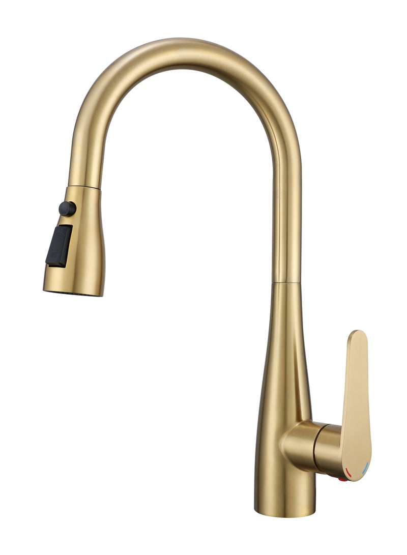 NANAO Kitchen Faucet, 304 Stainless Steel Pull Down Faucet for Kitchen Sink, PVD Gold - Image 1