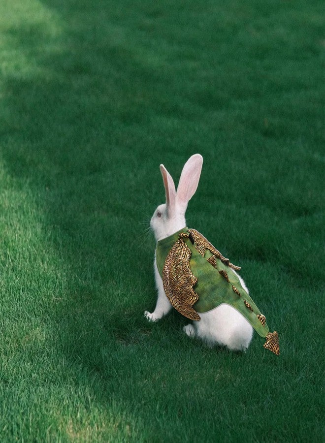 Gvhntk Small Animal Bunny Costume Pet Dinosaur Cosplay Rabbit Outfit Halloween Cute Clothes for Small Dog Cat Kitten Tiny Puppy Dog 2lb to 4lb - Image 5