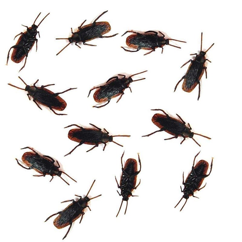 Cooplay 30pcs Fake Roaches Prank Cockroach Bugs Look Real Black Insect for Adult Funny Halloween Fools Day Christmas Party - Image 2