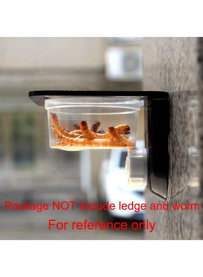 Generic 100 Pack Gecko Food And Water Cups Gecko Ledge Cups Reptile Worm Bowl Mealworm Feed Feeder For Lizard Leopard Gecko Crested Gecko And Other Small Pets, 1 Oz  - Image 4