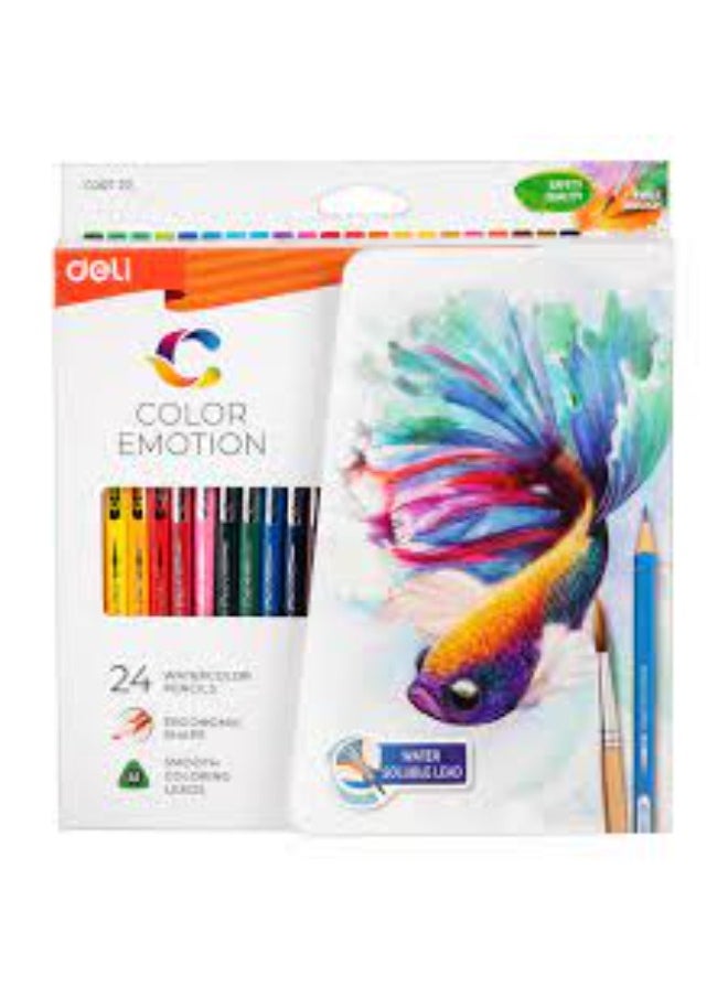 Deli Water Colored Pencil 
