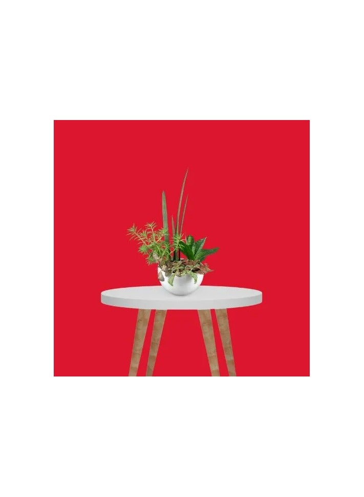 PROMAGE Scarlet Paper Background PM PB56 – 2.72m x 11m Seamless Studio Backdrop Roll, Non-Reflective & Wrinkle-Free for Photography and Video - Image 2