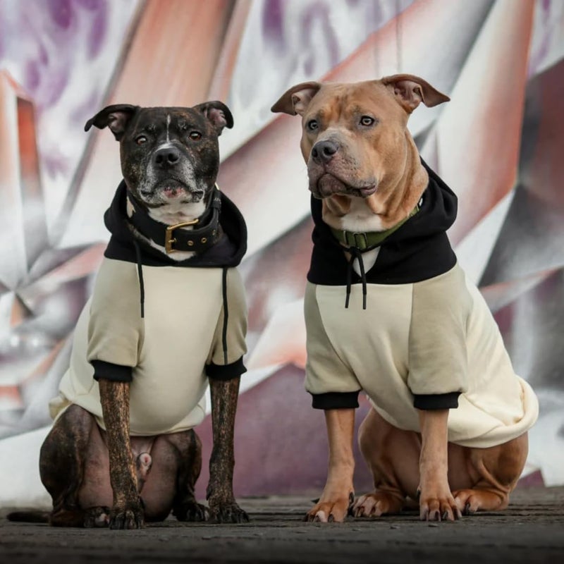 Spark Paws Dog Hoodie - Premium Quality, Butter Soft, Excellent Comfort and Fit, Soothing Fleece Interior, Suitable for All Breeds - Olive Cream - XL - Image 4