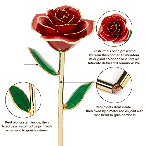 Anthonic Gold Dipped Infinity Rose Last Forever Flower Decor, Birthday Gift for Women in Her Birthday Mothers Day, Resin Preserved Rose | Anniversary Present for Mom (Red) - Image 3