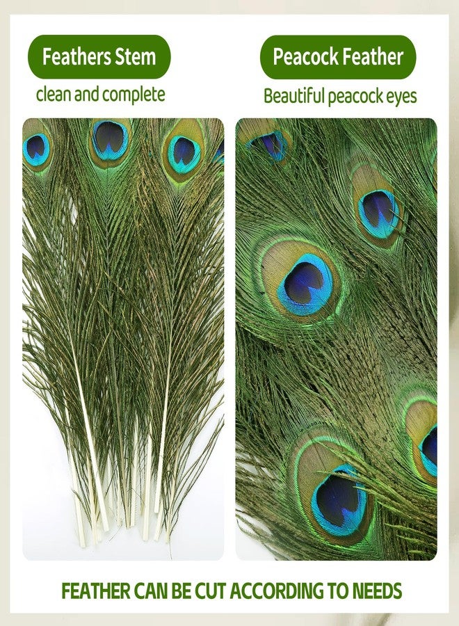 iHUFeather 10PCS Real Natural Peacock Eye Feathers 10-12 inch for DIY Craft,Floral Arrangements,Wedding,Home and Party Decorations Feathers,Natural - Image 3
