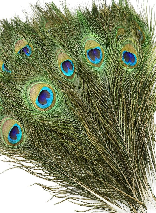iHUFeather 10PCS Real Natural Peacock Eye Feathers 10-12 inch for DIY Craft,Floral Arrangements,Wedding,Home and Party Decorations Feathers,Natural - Image 1