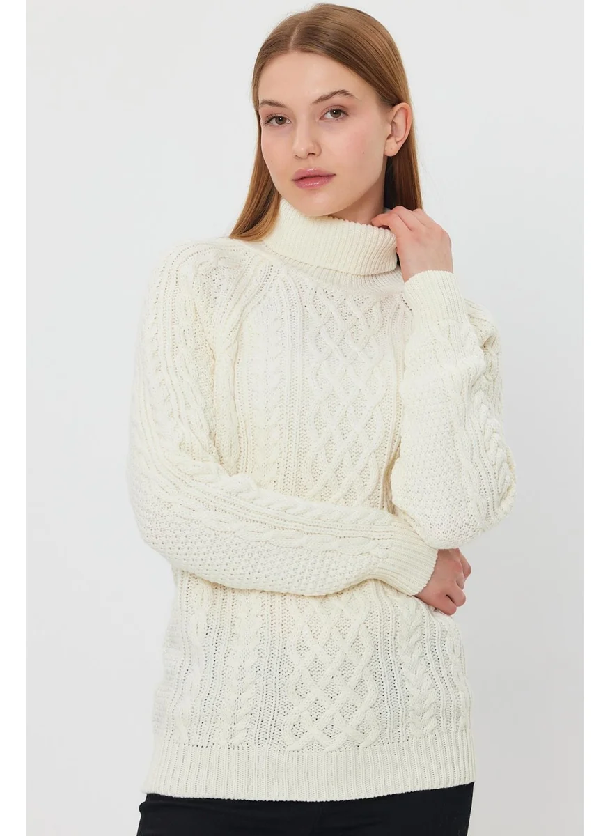 Alexandergardi Braided Turtleneck SWEATER (B21-18119)