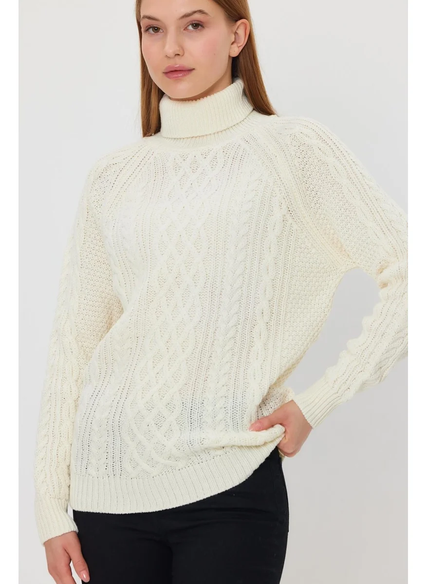 Alexandergardi Braided Turtleneck SWEATER (B21-18119)