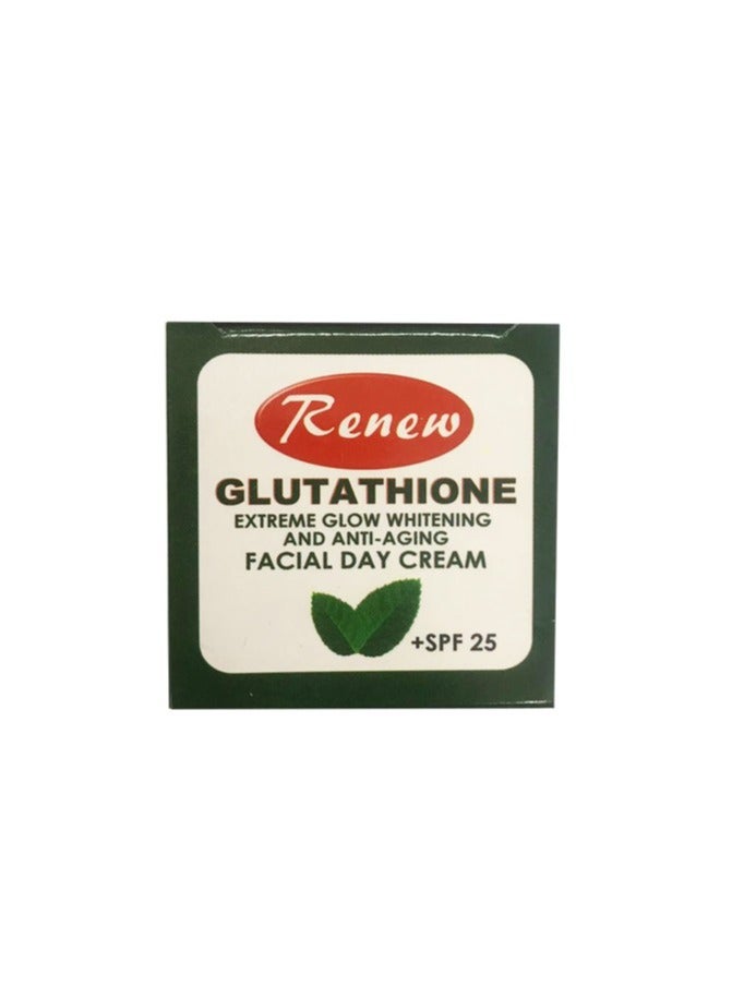 Renew Glutathione Extreme Glow Whitening & Anti-Aging - Image 2