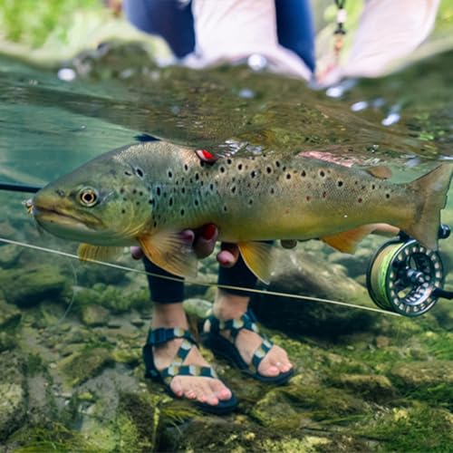RIO Products Mainstream Trout DT Fly Line - Developed for The Average Fly Fishermen - Easy Casting and Smooth Design - Freshwater - 3 Weight - Image 4