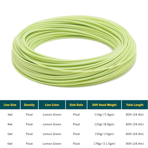 RIO Products Mainstream Trout DT Fly Line - Developed for The Average Fly Fishermen - Easy Casting and Smooth Design - Freshwater - 3 Weight - Image 2