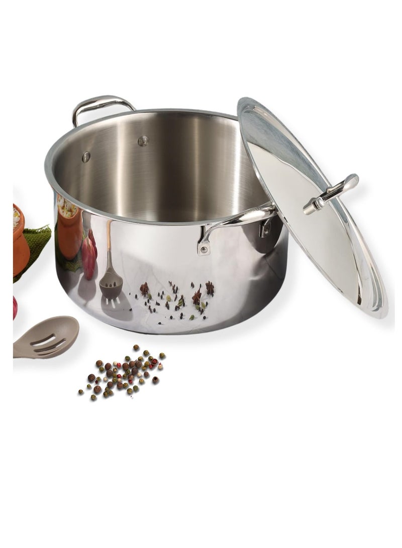 Vinod Platinum Triply Stainless Steel Biryani/Sauce Pot with Lid - 11 Liters, 30 cm, Silver - Image 1